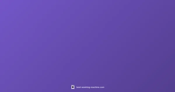 LG Inverter Guide - Best Washing Machine (illustration)