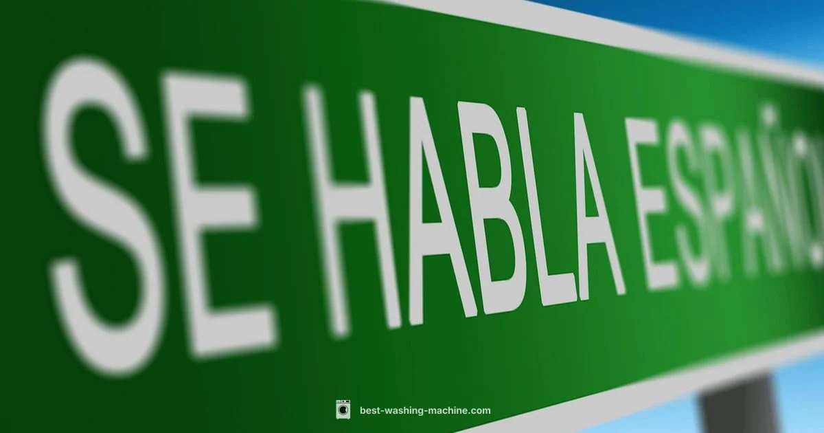Spanish Washer Phrase - Best Washing Machine