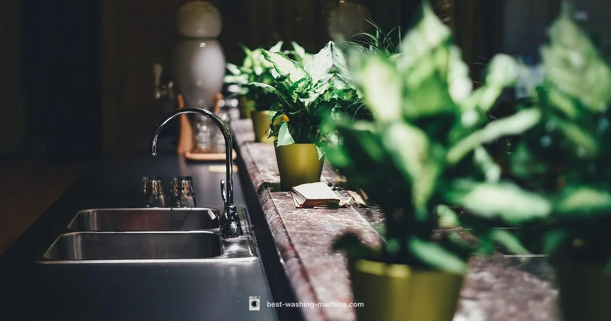 Noise During Spin - Best Washing Machine