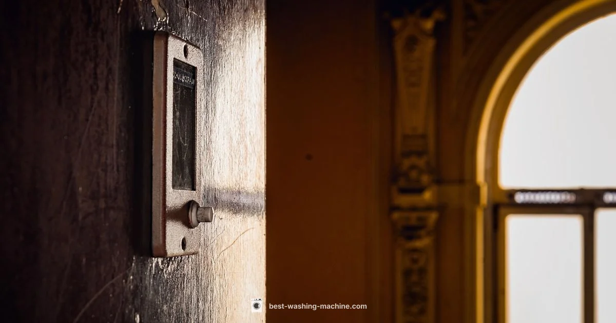 Lid Switch Basics - Best Washing Machine