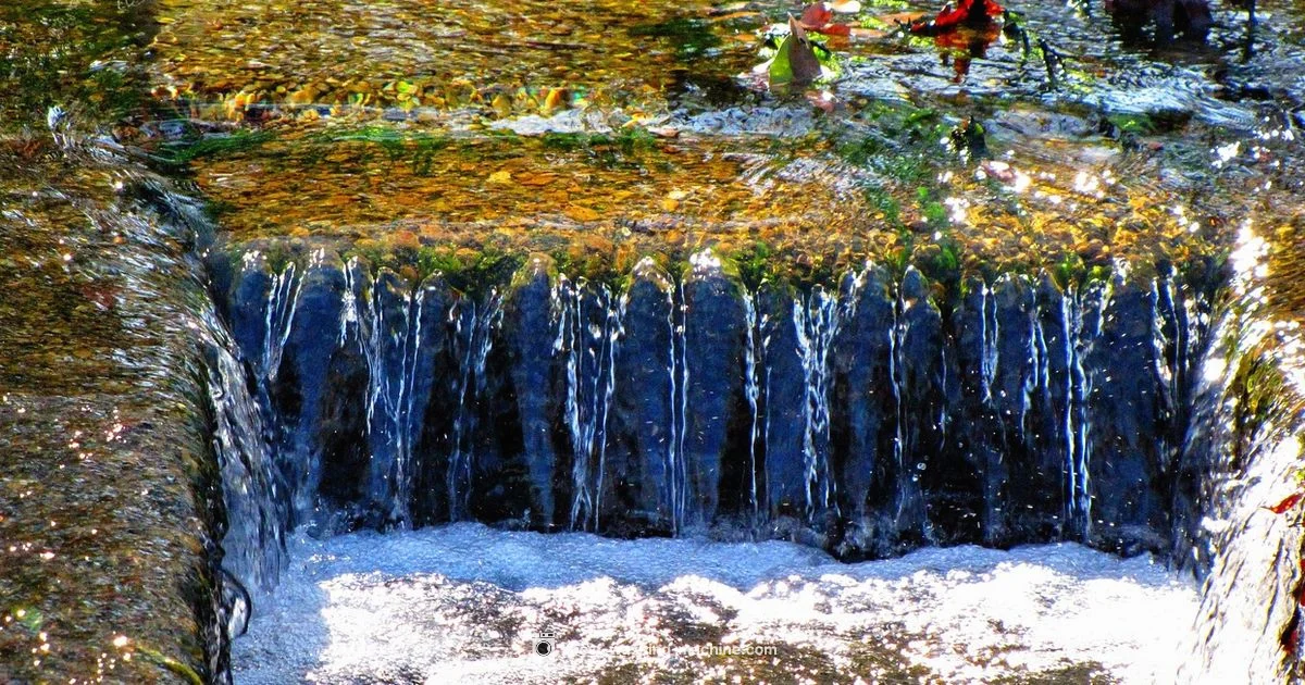 Drain Cleaning Guide - Best Washing Machine