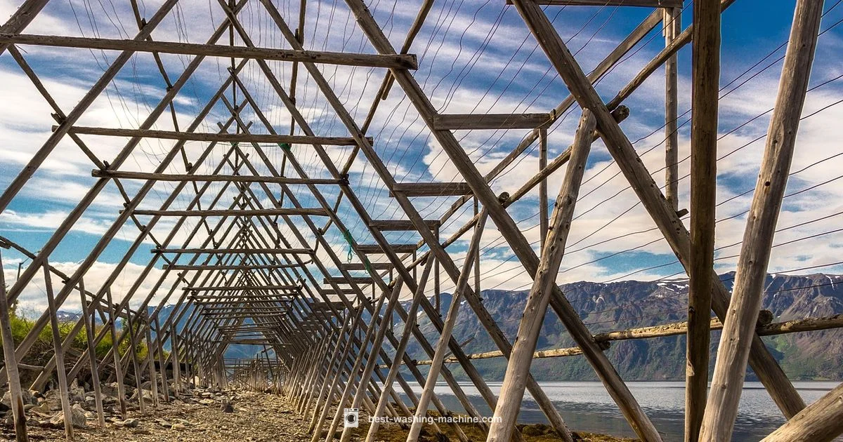 Sneaker Care Guide - Best Washing Machine