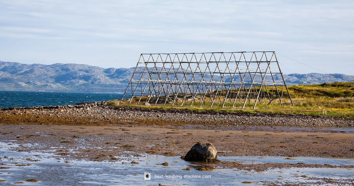 Loft-Safe Wash Guide - Best Washing Machine