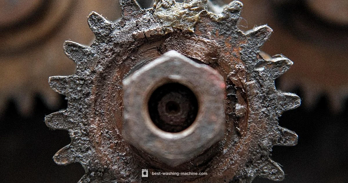 Valve Replacement - Best Washing Machine