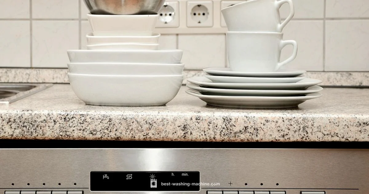 Washer vs Dishwasher - Best Washing Machine