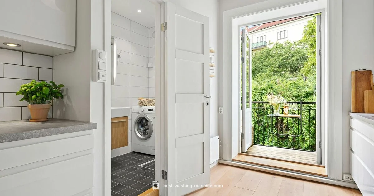 Impeller vs Agitator - Best Washing Machine