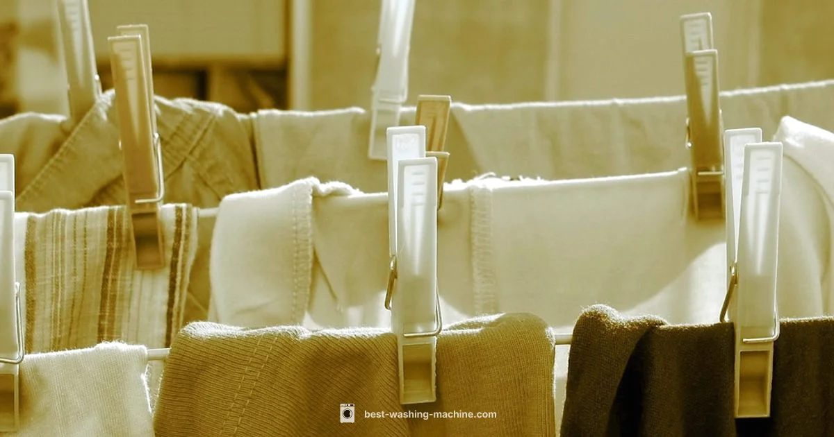 Right Washer Picks - Best Washing Machine