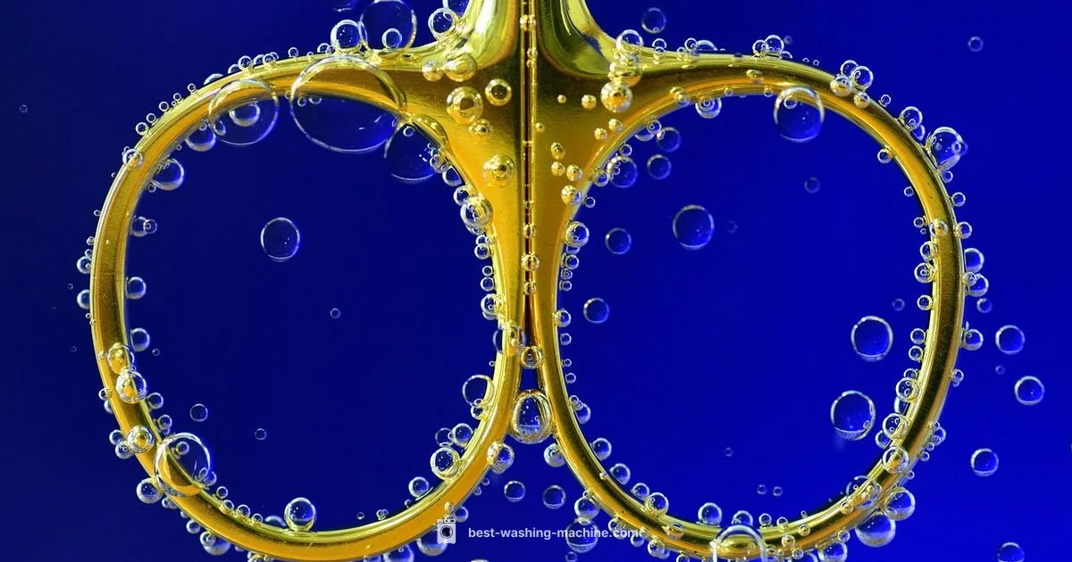 Drum Care Basics - Best Washing Machine