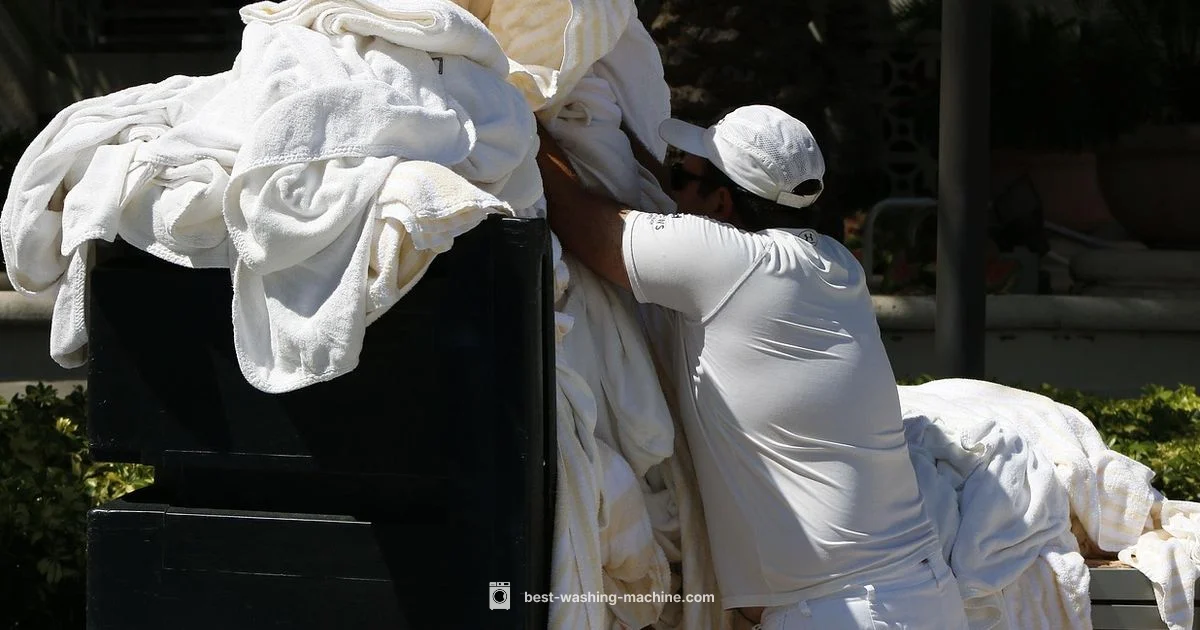 Tick Decontamination Tick Decontamination - Best Washing Machine