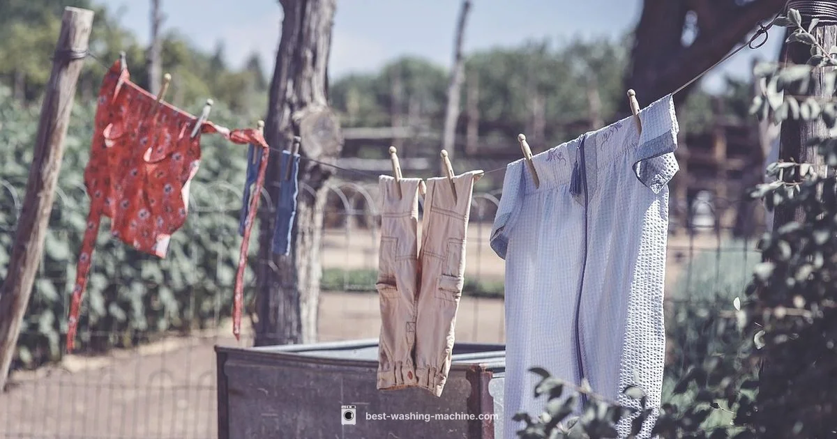 IFB Top-Load Cleaning - Best Washing Machine