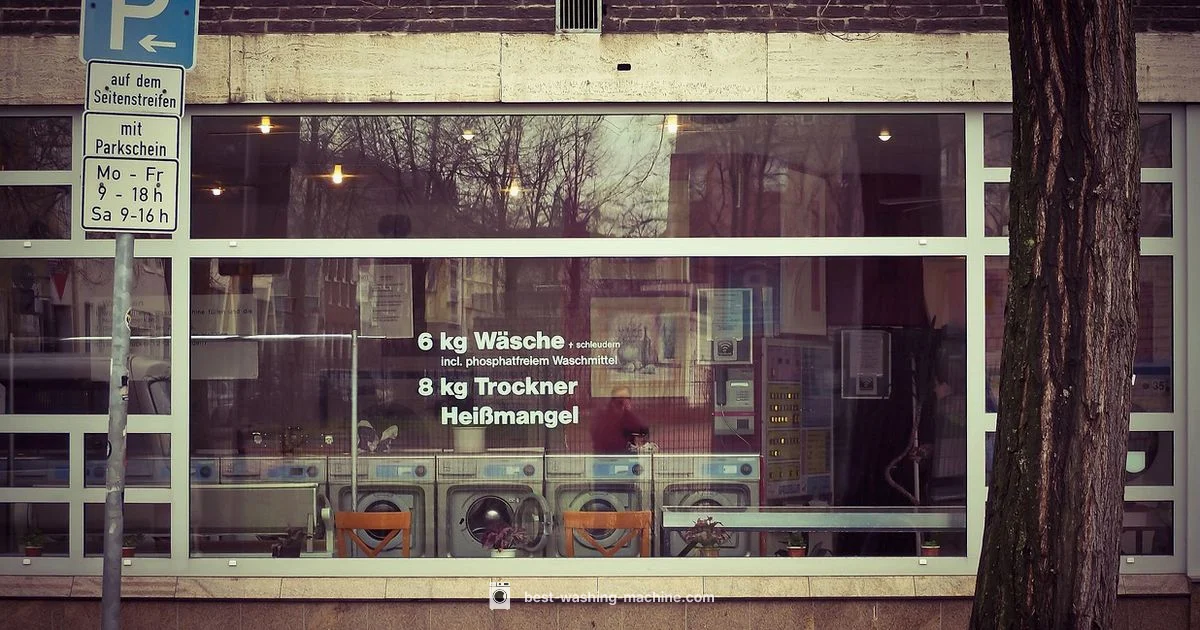 Public Washer Hygiene - Best Washing Machine