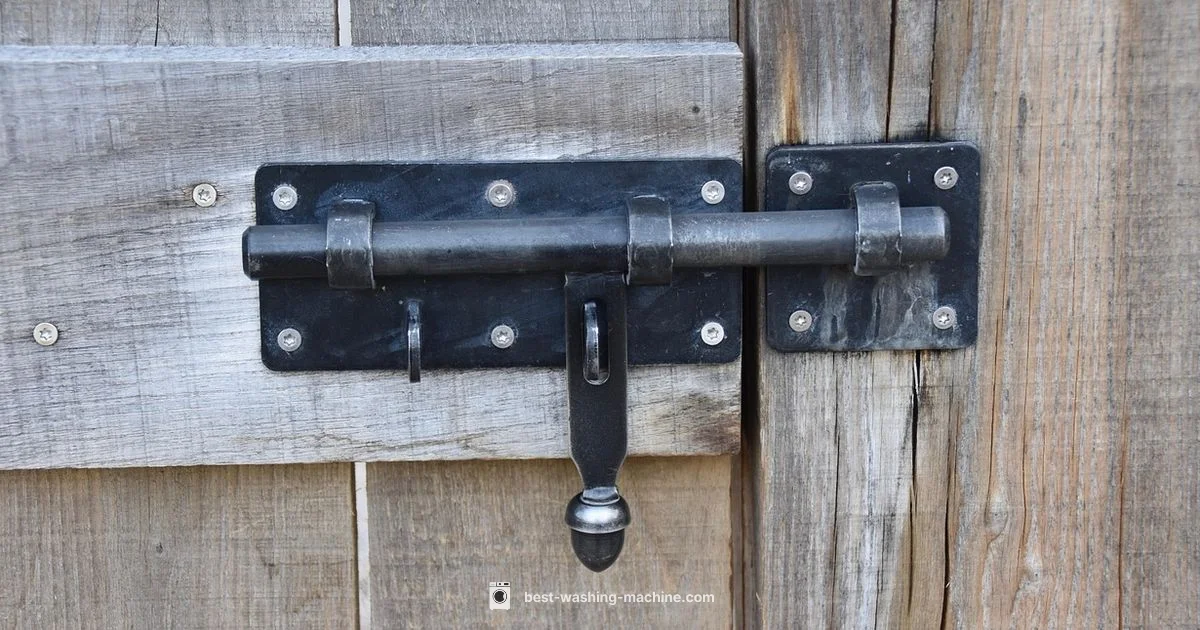 Door Lock Mechanism - Best Washing Machine