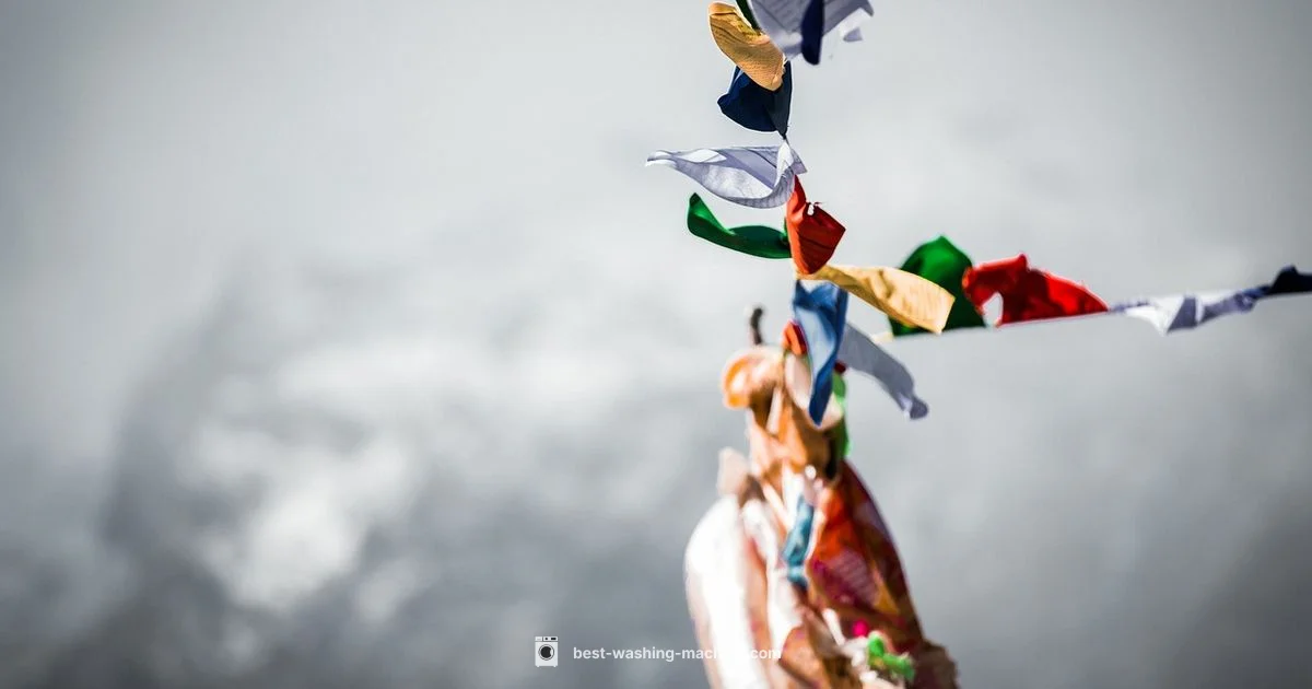 Gentle Baby Laundry - Best Washing Machine