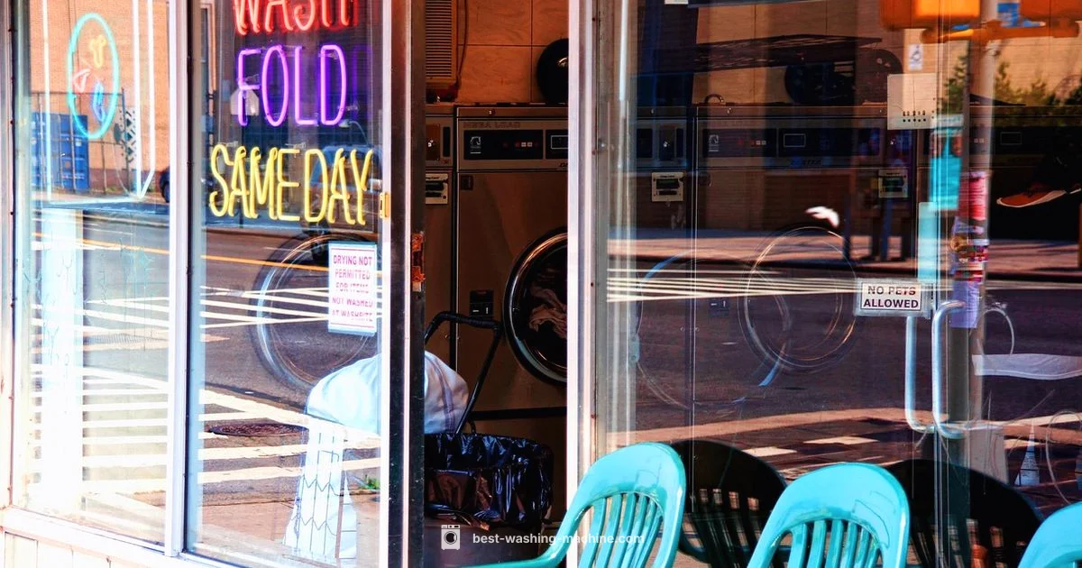 Rental Wash Nearby - Best Washing Machine