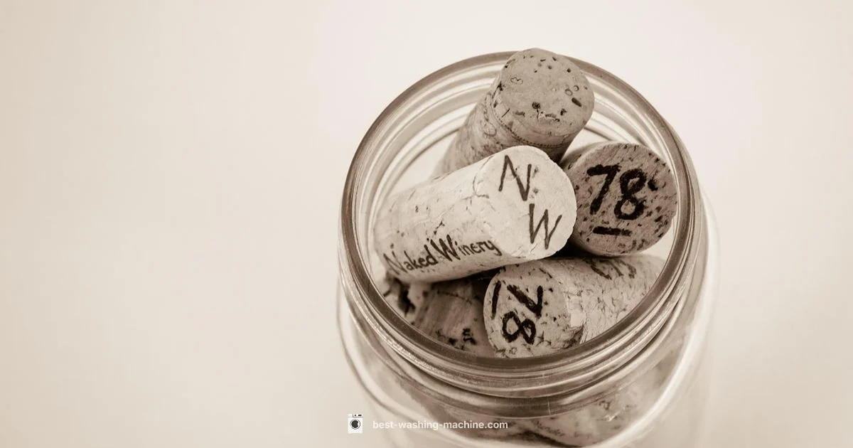 Odor Fix Guide - Best Washing Machine