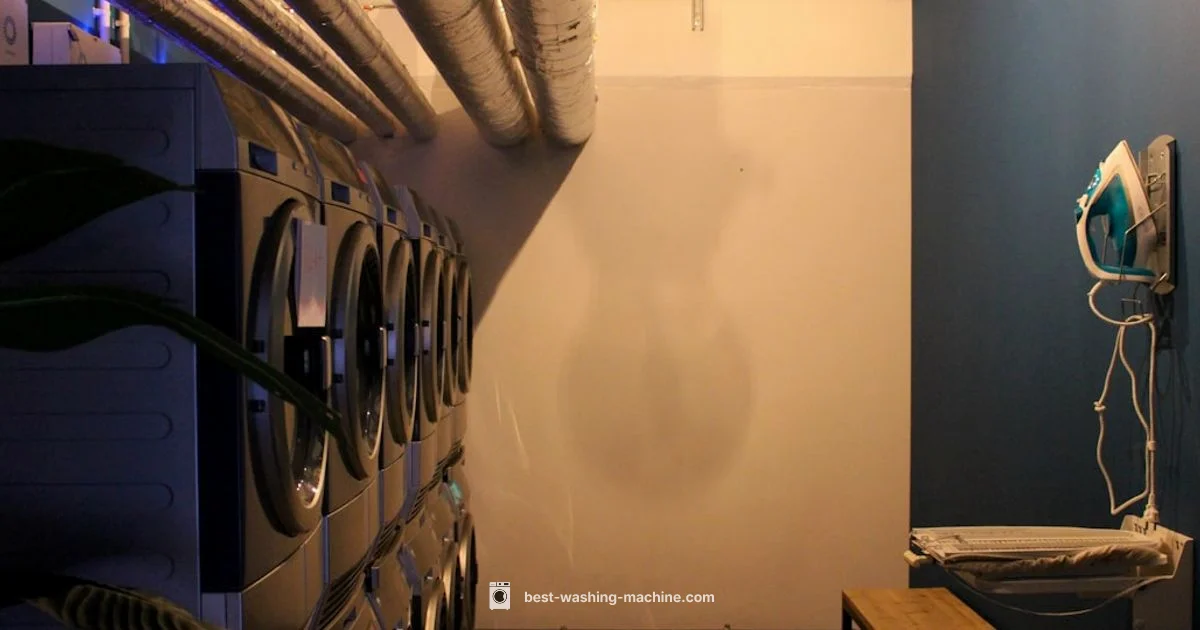 Spin Cycle Guide Spin Cycle Guide - Best Washing Machine