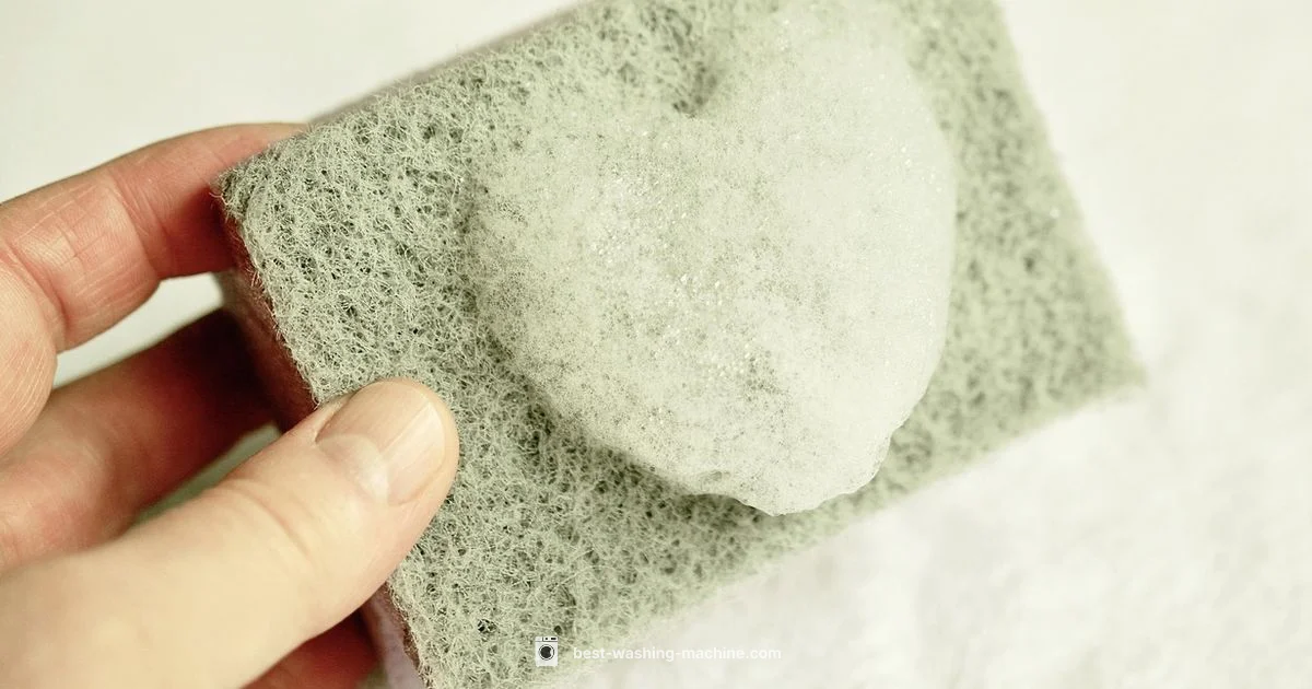 Clean Washer Tips Clean Washer Tips - Best Washing Machine