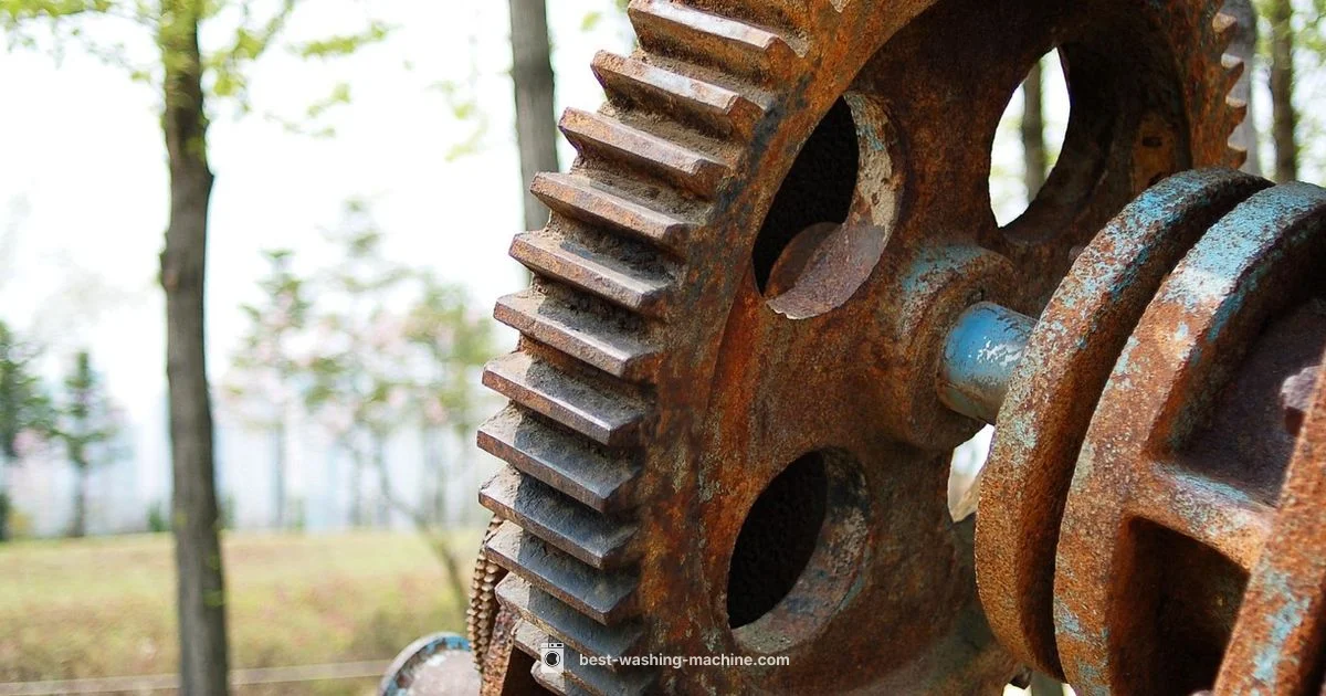 Rust-Proof Washer - Best Washing Machine
