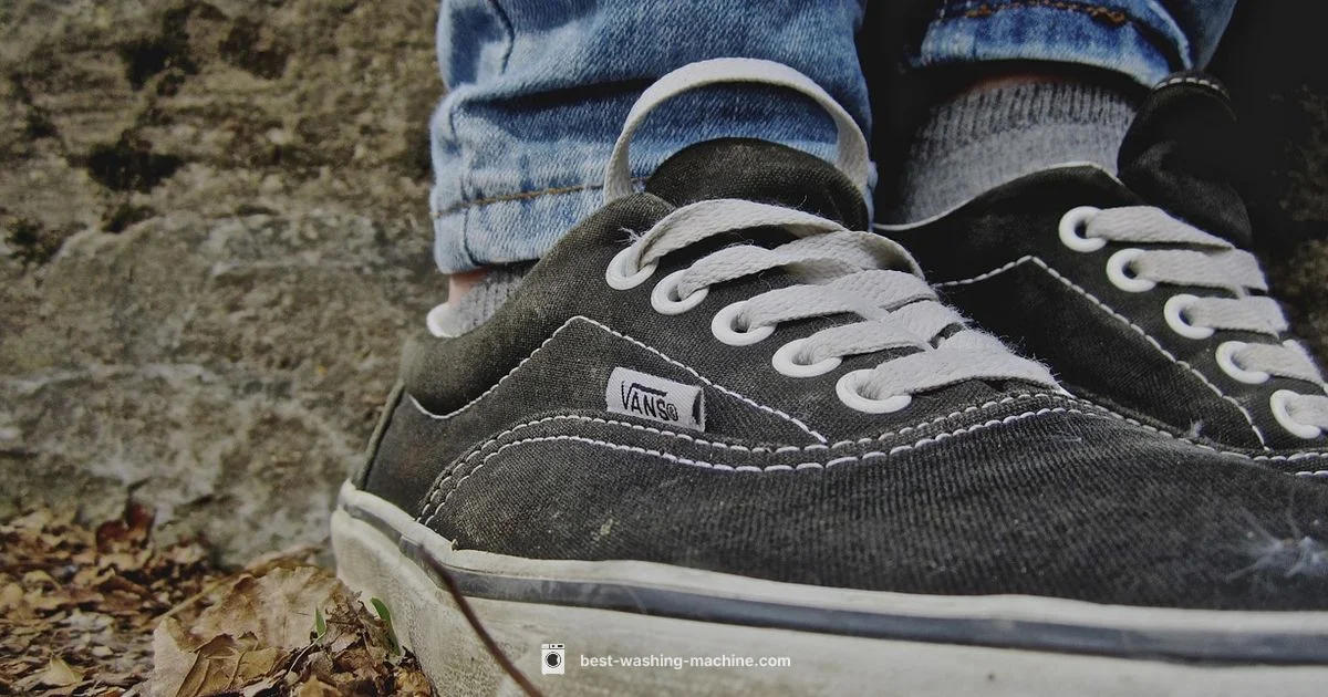 Trainer Care - Best Washing Machine