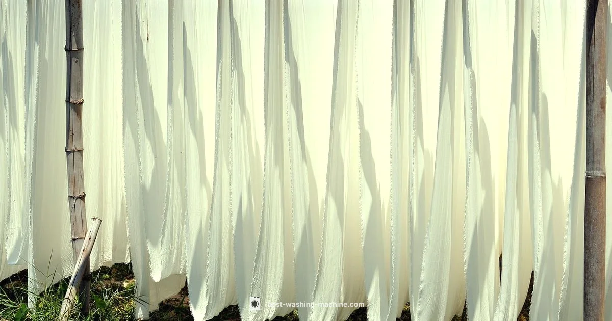 Laundry Myth Bust - Best Washing Machine