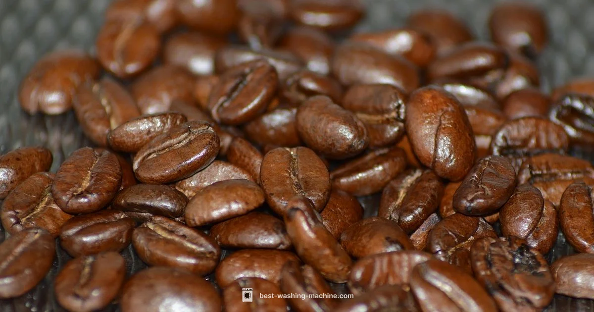 Bottle Cleaning Made Easy - Best Washing Machine