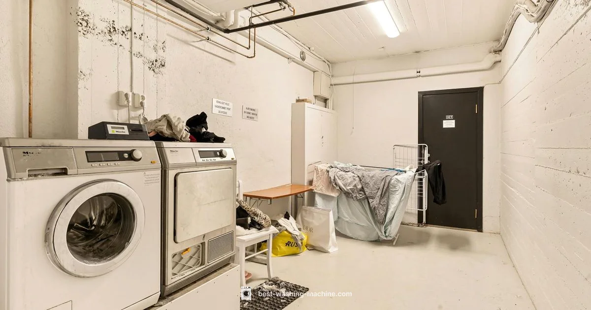 Washing Machine Care - Best Washing Machine