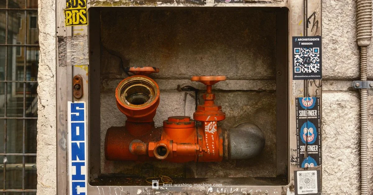 Inlet Valve Guide - Best Washing Machine