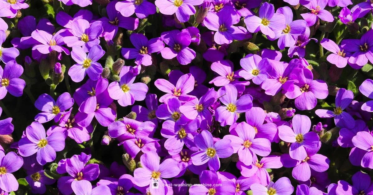 Pillow Care Guide Pillow Care Guide - Best Washing Machine