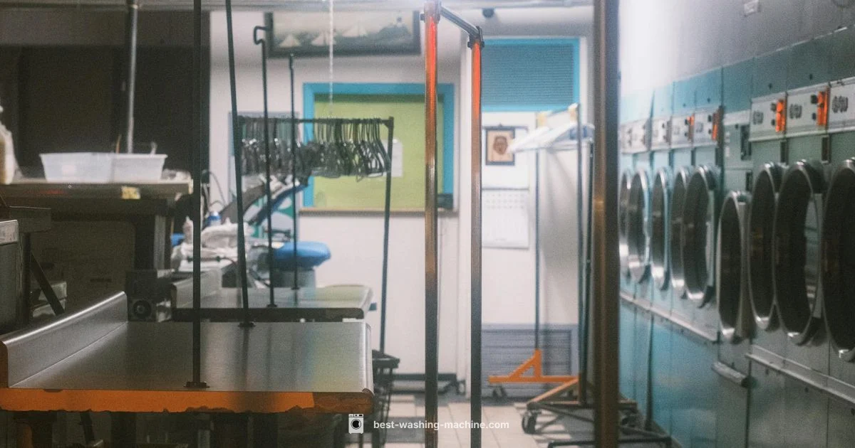 Graywater for Laundry - Best Washing Machine