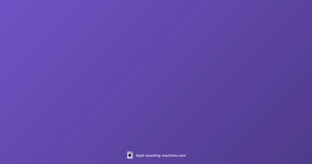 Overload Leak Guide - Best Washing Machine (illustration)