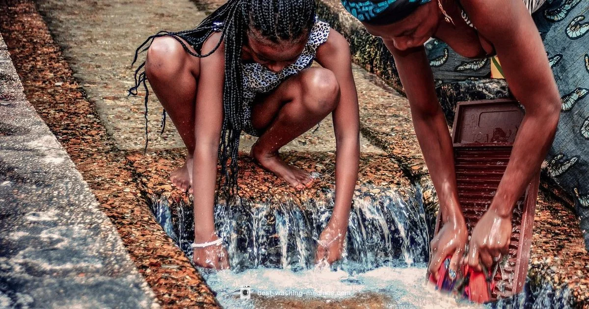 Greywater Basics - Best Washing Machine