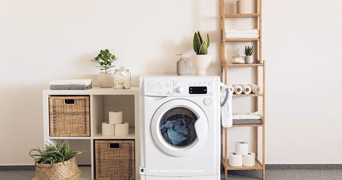 Check Valve Guide Check Valve Guide - Best Washing Machine