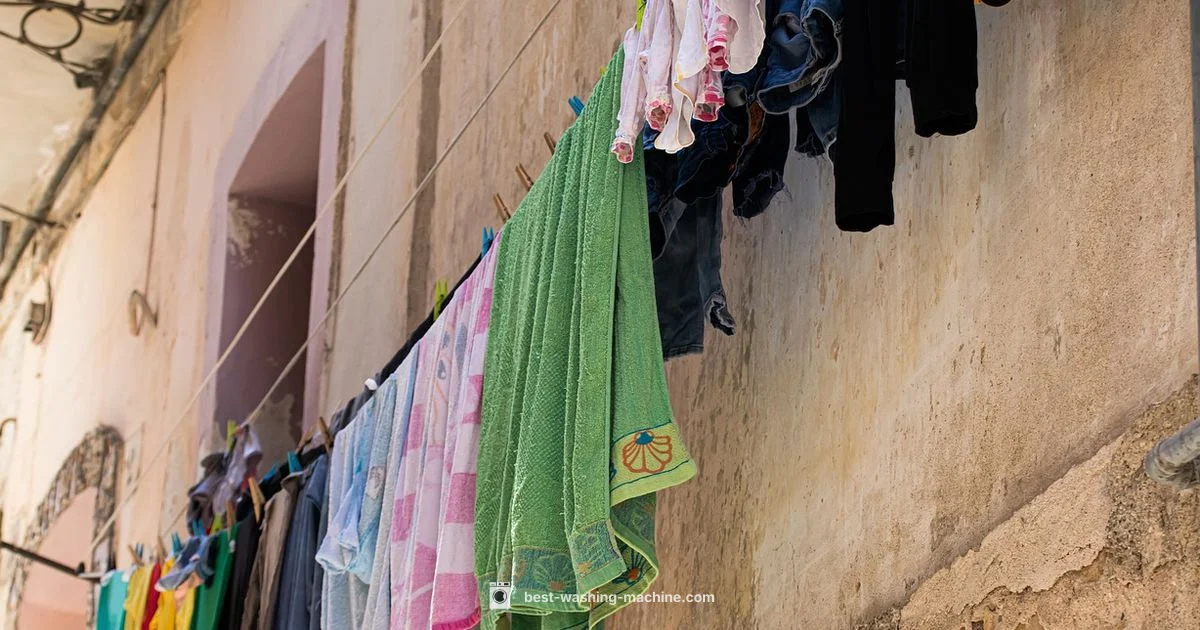 Polyester Care Guide - Best Washing Machine