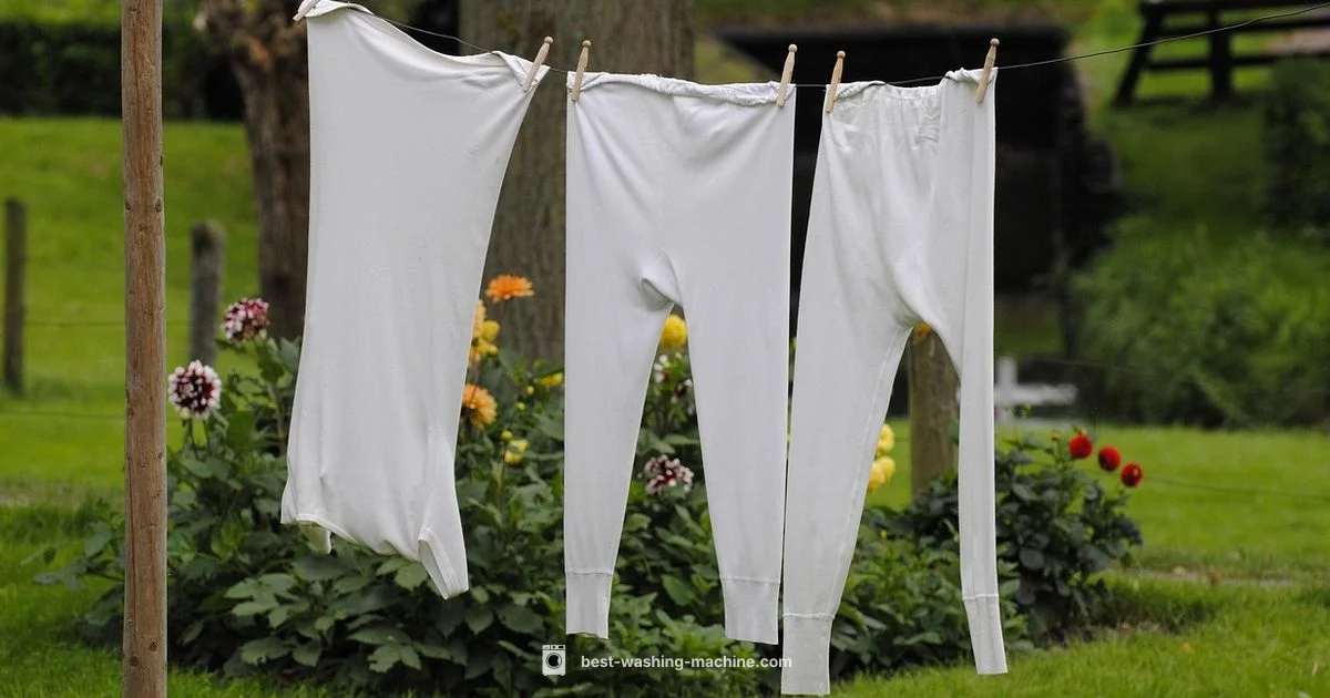 Odor Solution - Best Washing Machine