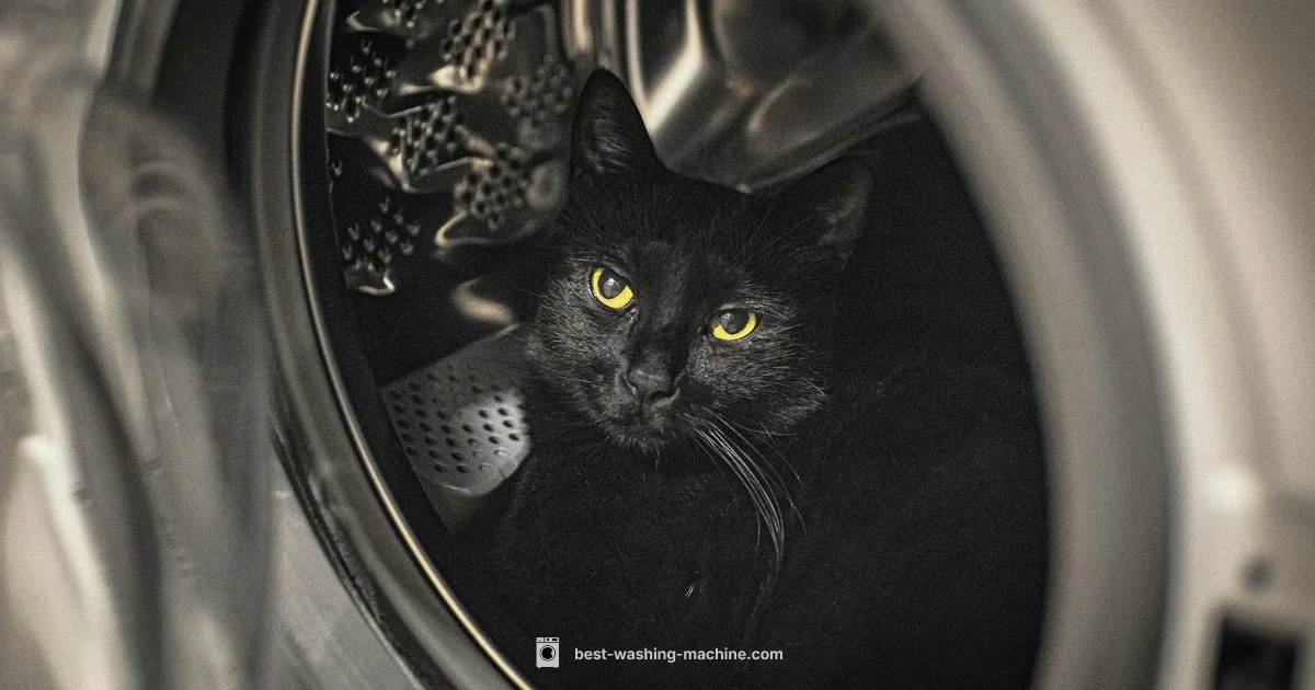 Drum Cleaning Guide Drum Cleaning Guide - Best Washing Machine