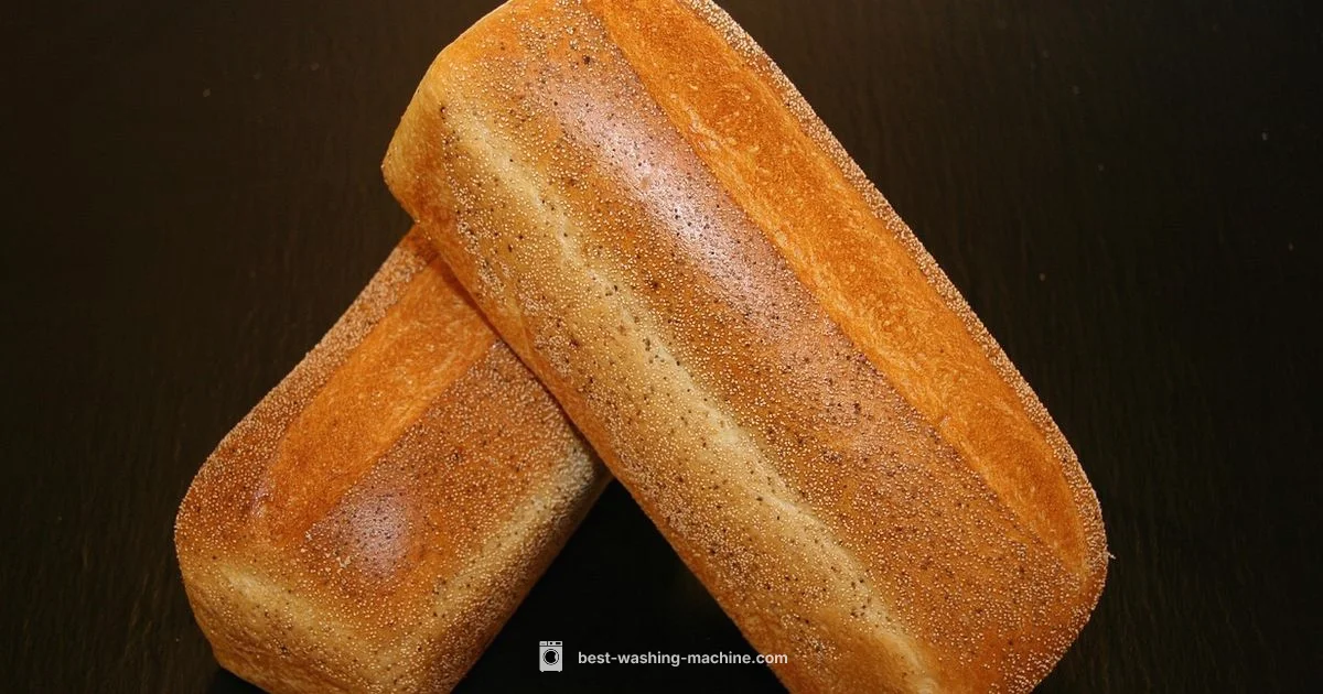 Mold-Free Laundry Mold-Free Laundry - Best Washing Machine