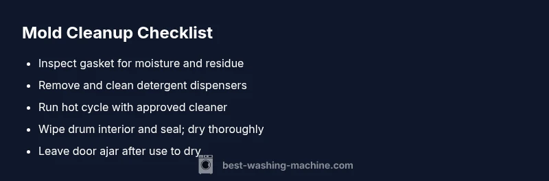 Checklist for cleaning black mold from a washing machine