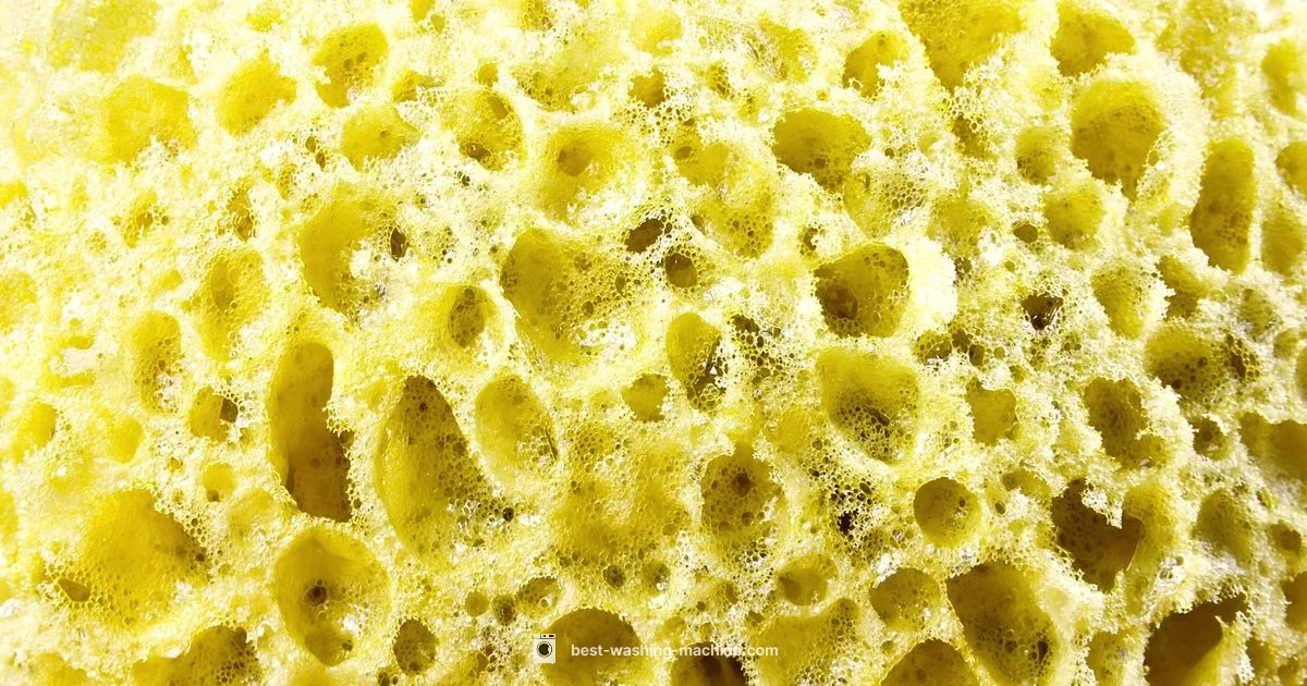 Mould in Washer - Best Washing Machine