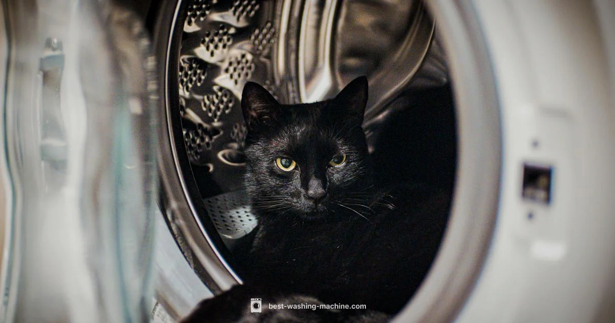 Depth of Washer - Best Washing Machine