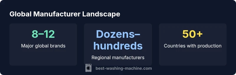 Infographic showing number of global brands and regional manufacturers