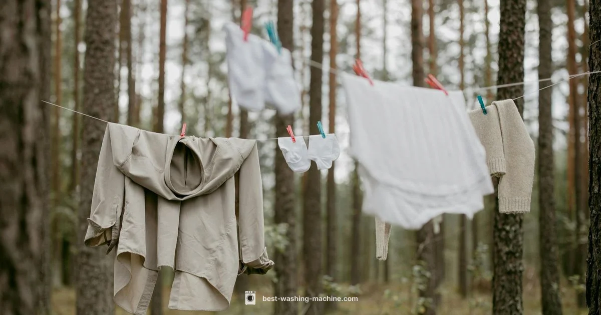 Repair Guide - Best Washing Machine