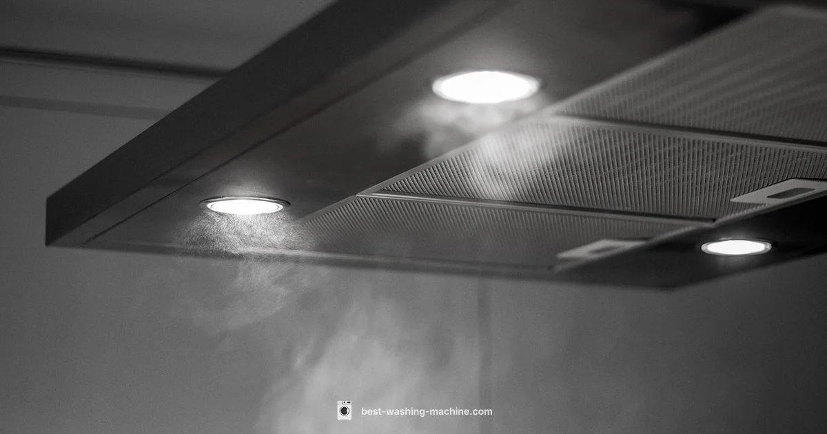 Washer vs Extractor - Best Washing Machine