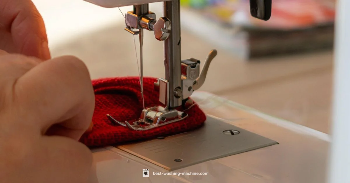 Drum Anatomy - Best Washing Machine