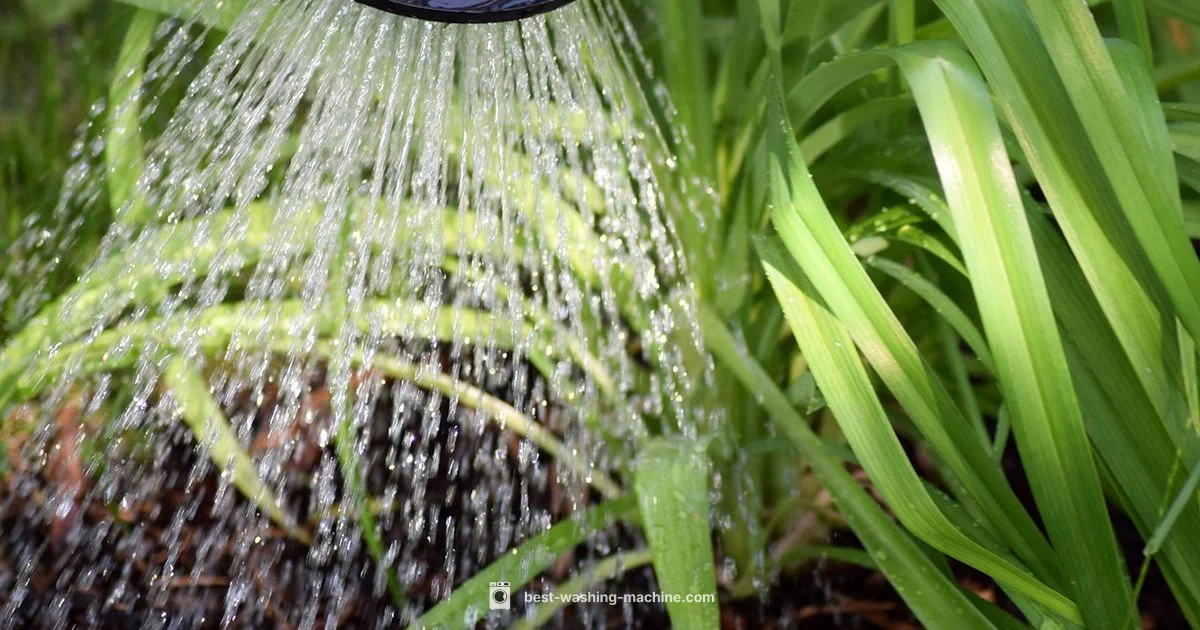 Graywater for Plants - Best Washing Machine