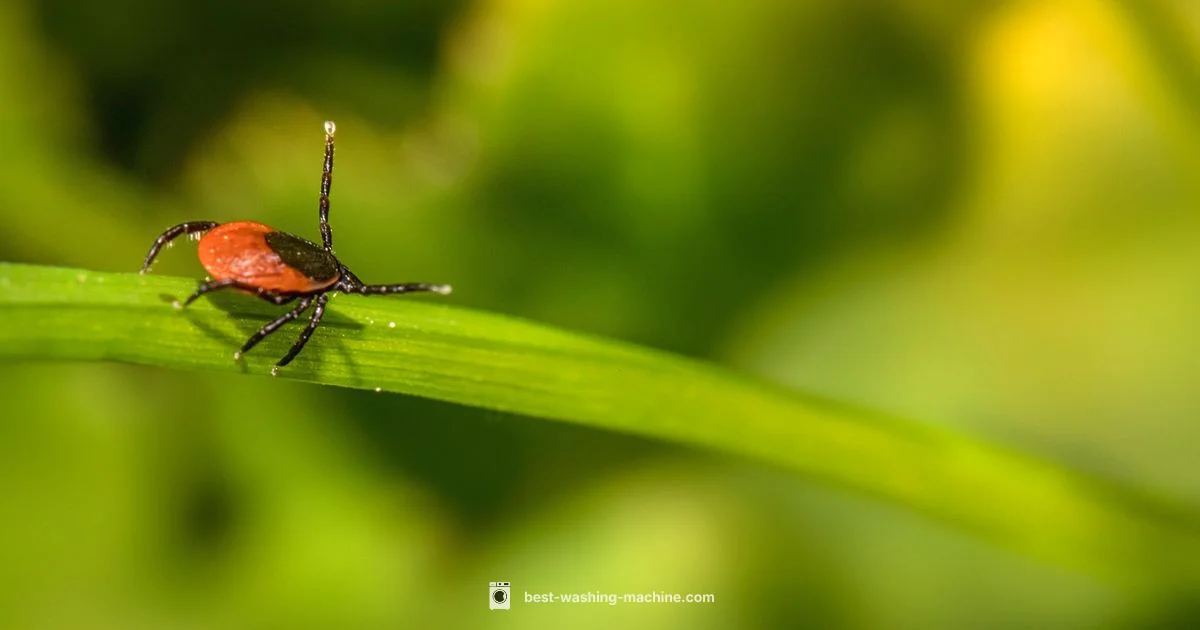 Tick Survival - Best Washing Machine