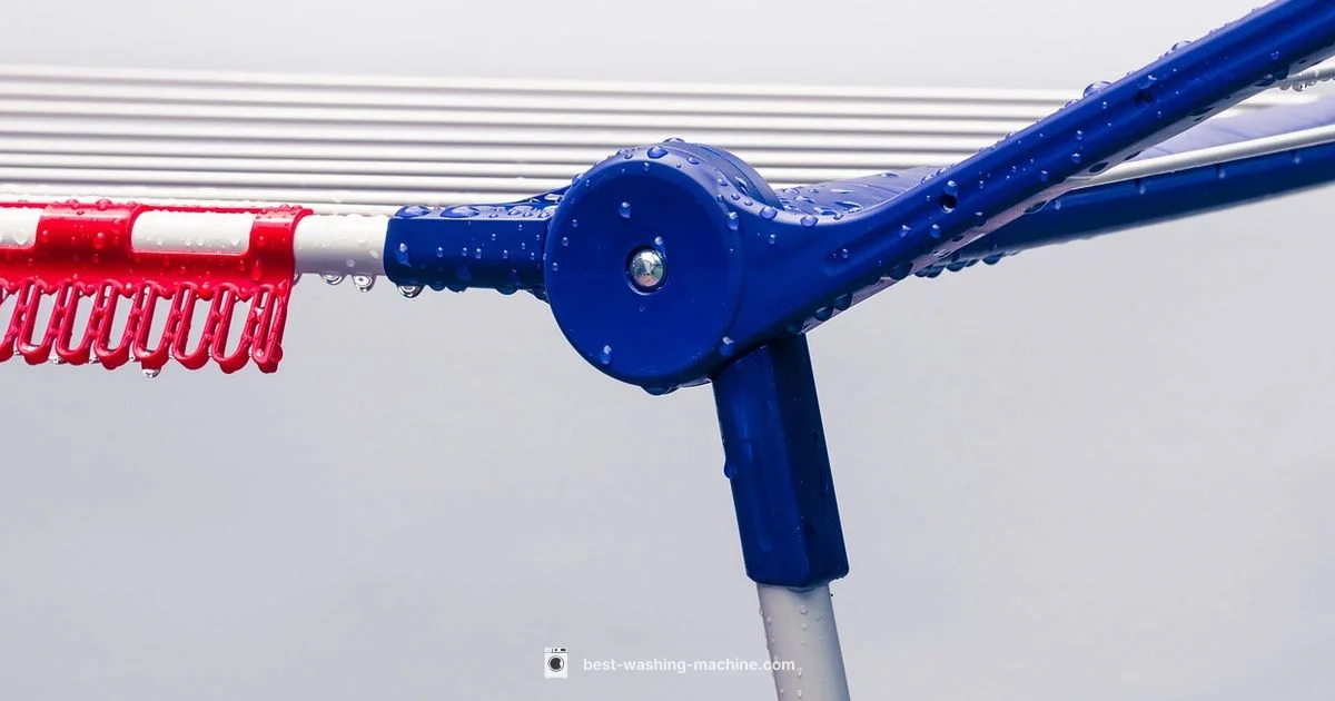 Washed Shoes, Fresh Start - Best Washing Machine