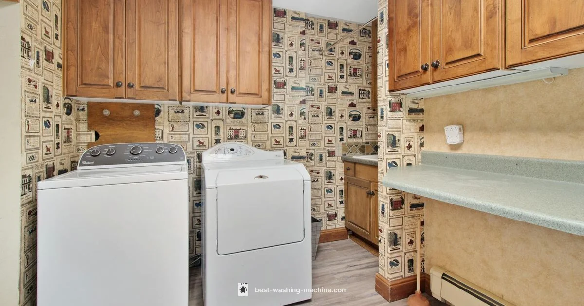 Compact Laundry: All-in-One - Best Washing Machine