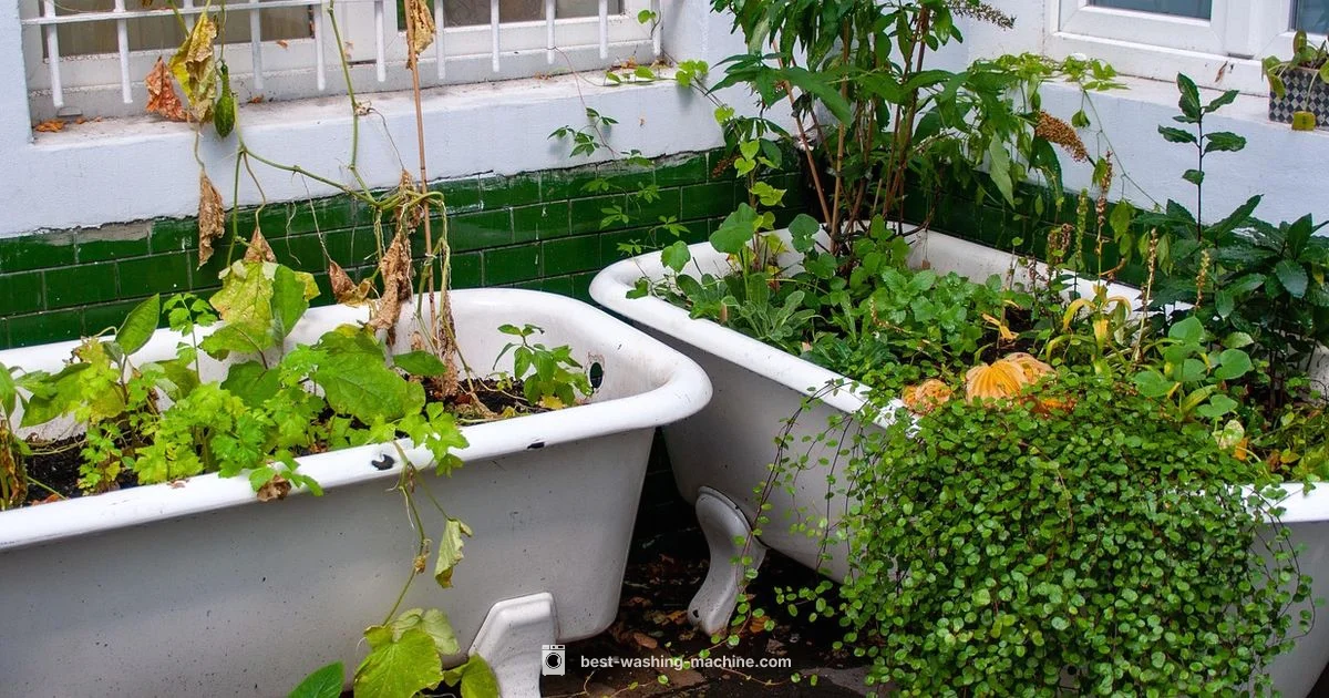 Pre-Machine Laundry - Best Washing Machine