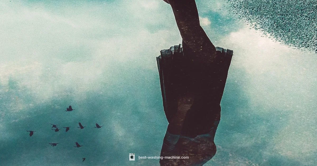 Washing Trainers Guide Washing Trainers Guide - Best Washing Machine