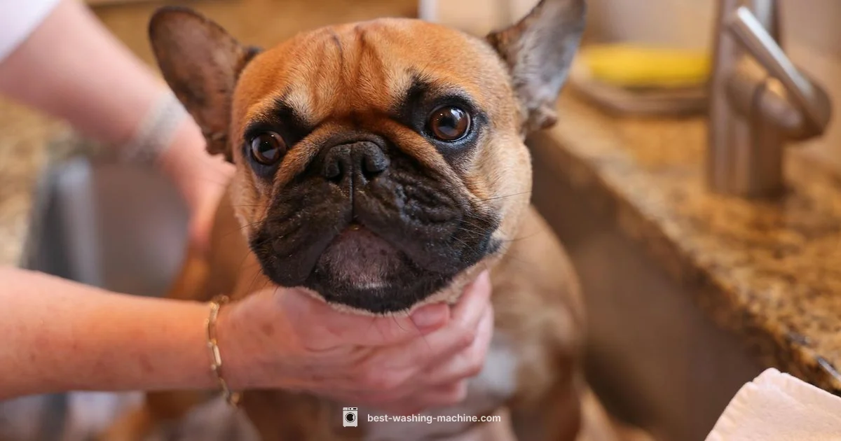 Machine en Français - Best Washing Machine
